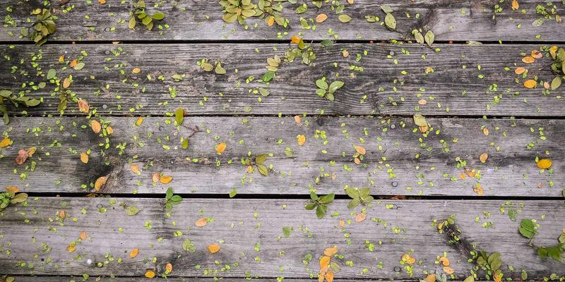 LK科技：低延迟网络技术如何重塑实时交互应用，赋能云游戏与远程手术的IT解决方案