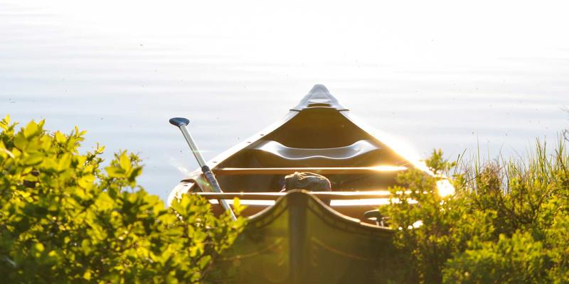 LK科技：基于AI的网络安全威胁预测与主动防御系统构建，引领IT解决方案新范式