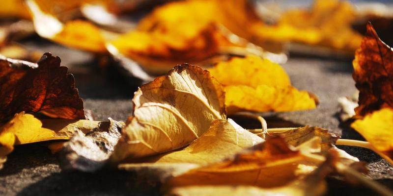 LK科技解析：超融合基础设施如何重塑中小企业网络与存储架构