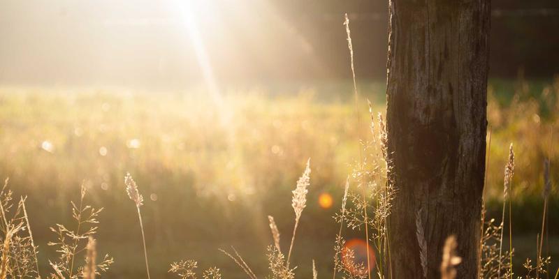 LK科技解析：量子密钥分发（QKD）网络如何重塑未来安全通信蓝图