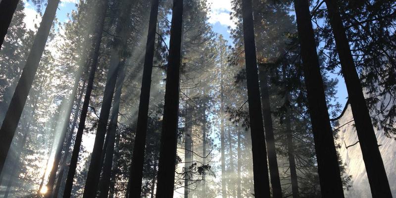 LK科技解读：网络即服务（NaaS）如何重塑科技公司的商业模型与网络技术架构