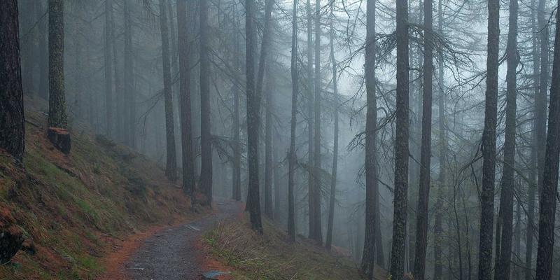 网络即代码：通过API与自动化重塑网络敏捷性的软件开发新范式