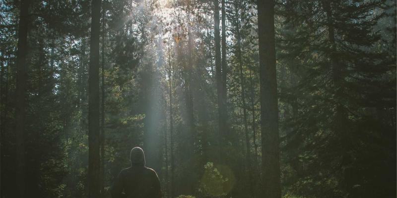 网络技术61：科技公司如何运用前沿IT解决方案重塑商业未来