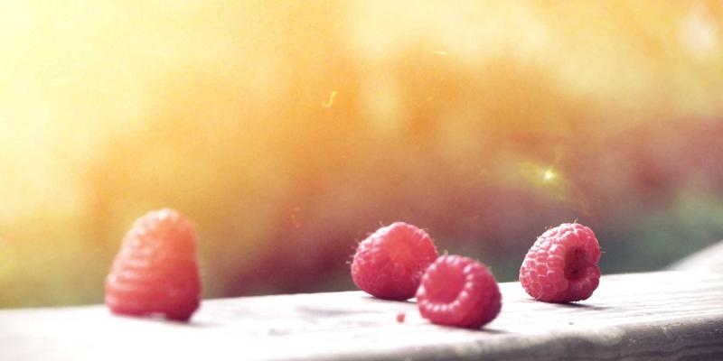 网络技术85：编程服务与IT解决方案如何驱动企业数字化转型