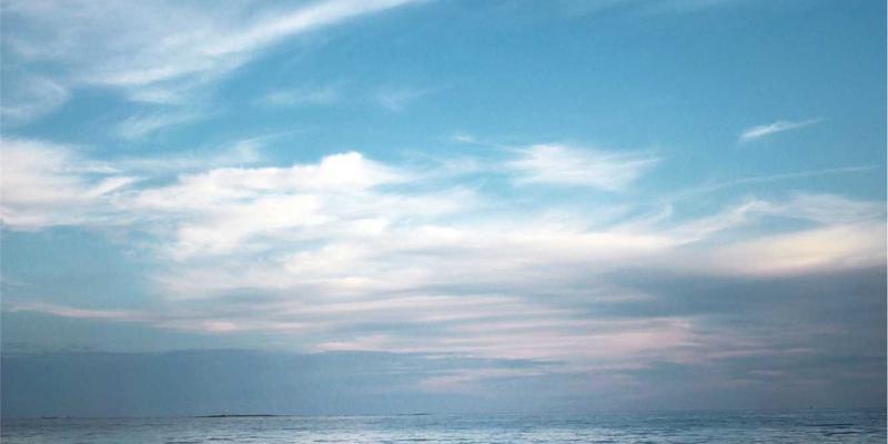 网络技术86时代：LK科技如何通过编程服务与IT解决方案驱动企业数字化转型