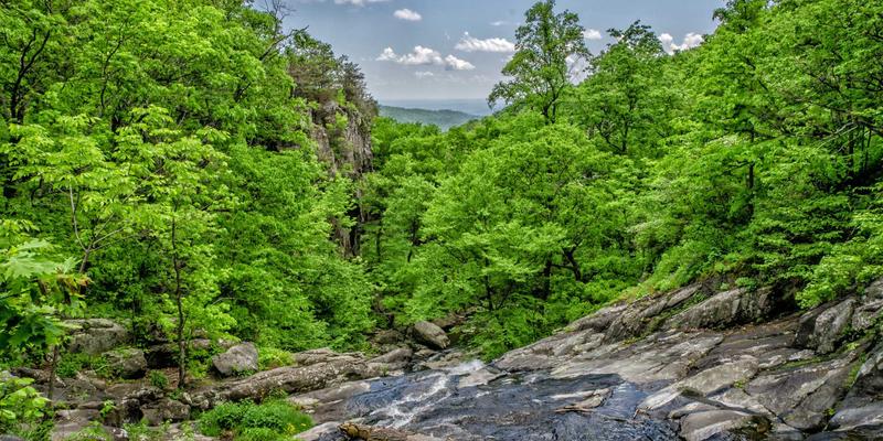 网络技术94：IT解决方案如何通过编程服务与软件开发驱动数字化转型