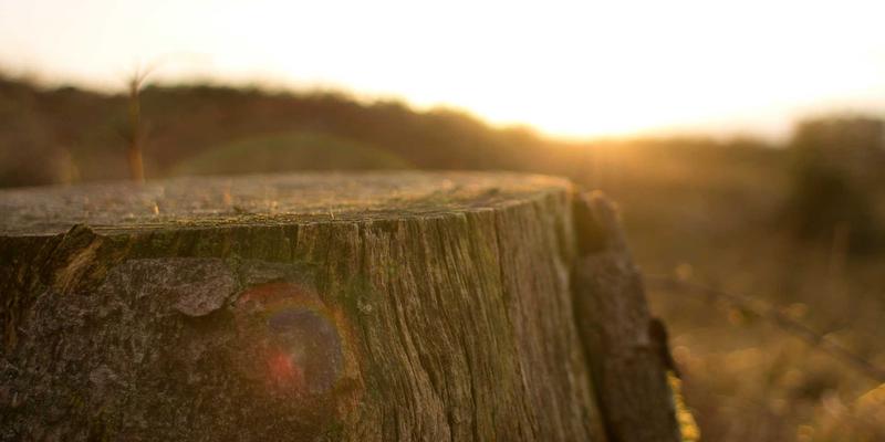 网络技术攻略：如何选择编程服务与软件开发，打造高效IT解决方案