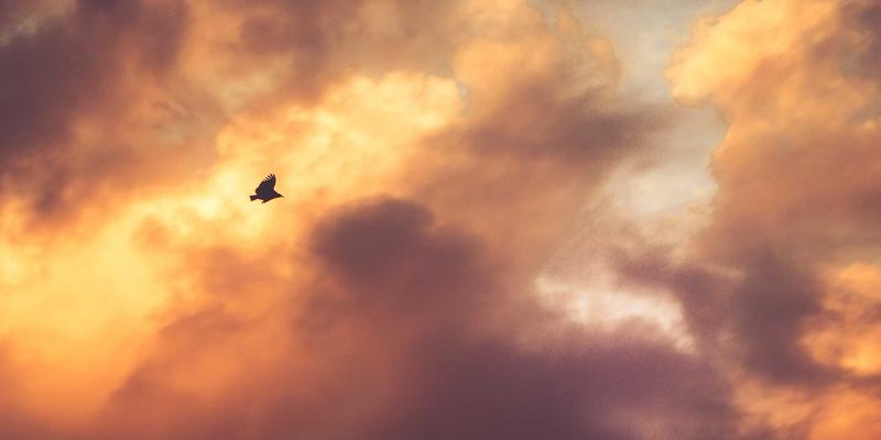 软件定义广域网与安全访问服务边缘融合：科技公司如何重塑网络与安全架构