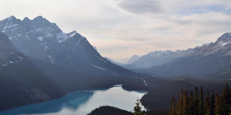 软件开发新范式：深度解析SBA在5G核心网中的实现原理与商用进展